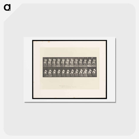 アートポストカード-Man on Horse
 - エドワード マイブリッジ Postcard.