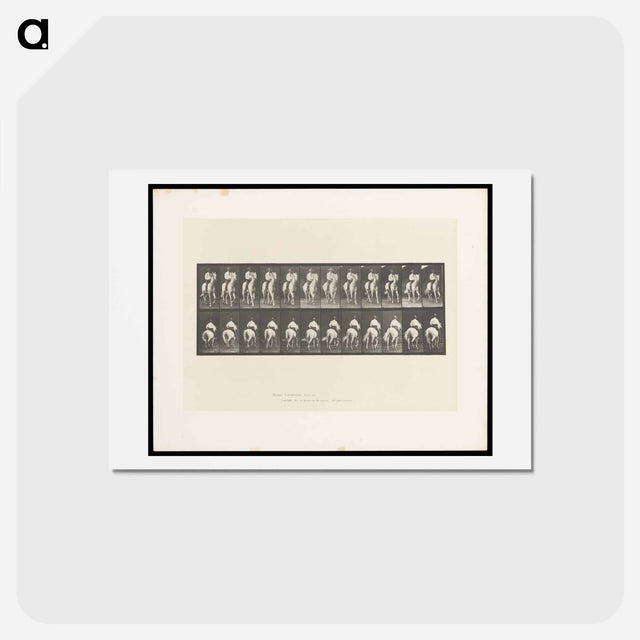 アートポストカード-Man on Horse
 - エドワード マイブリッジ Postcard.