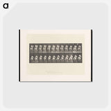 アートポストカード-Man on Horse
 - エドワード マイブリッジ Postcard.