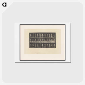 アートポストカード-Naked Woman Walking
 - エドワード マイブリッジ Postcard.