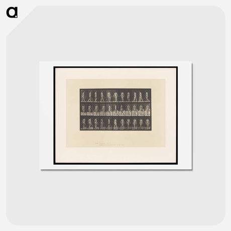 アートポストカード-Naked Woman Walking
 - エドワード マイブリッジ Postcard.