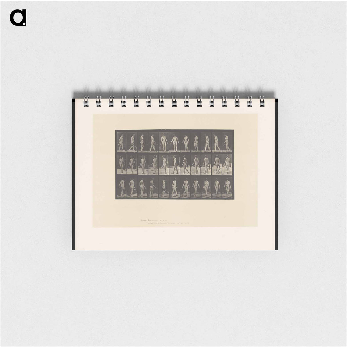 アートメモ帳-Naked Woman Walking
 - エドワード マイブリッジ Memo.