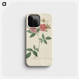 Rose illustration - ピエール ジョゼフ ルドゥーテ Phone Case.