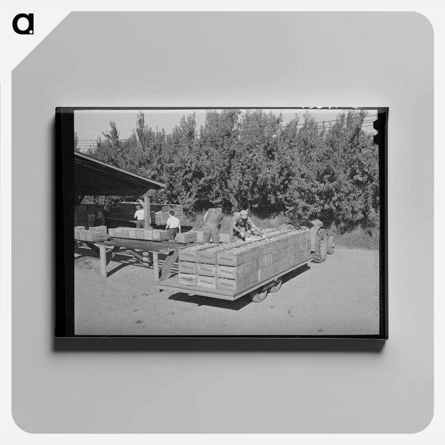 アートパネル-Diamond Lake Resort
 - ラッセル リー Canvas.