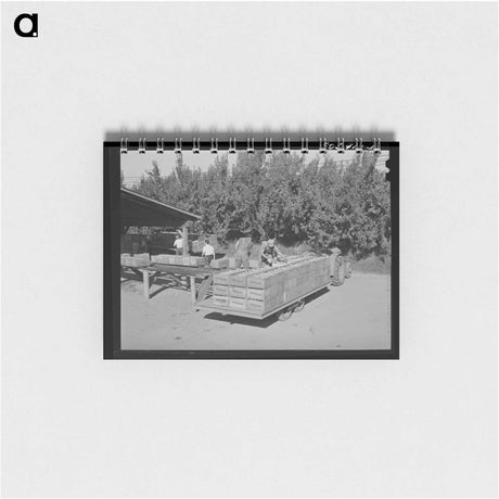アートメモ帳-Diamond Lake Resort
 - ラッセル リー Memo.