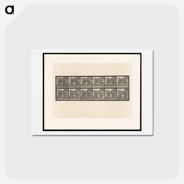 アートポストカード-Elephants and Zookeeper
 - エドワード マイブリッジ Postcard.