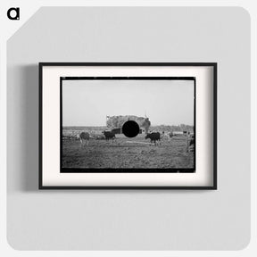 アートポスター-Cattle and Barn, Little Fork
 - ラッセル リー Poster.