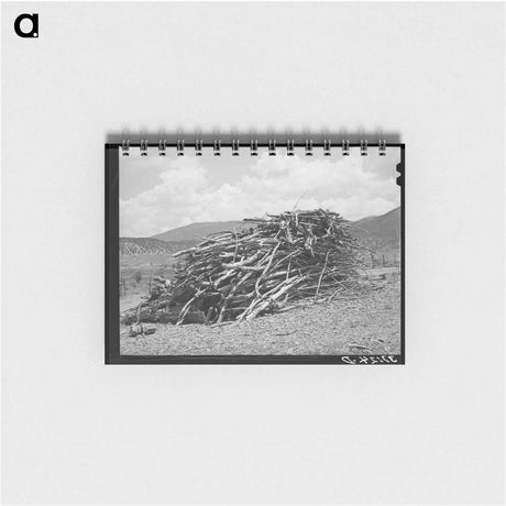 アートメモ帳-Cattle and Barn, Little Fork
 - ラッセル リー Memo.