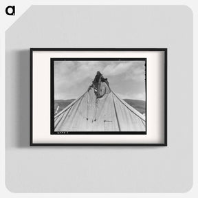 アートポスター-Untitled photo, possibly related to: Pea picker's tent near San Jose, California - ドロテア ラング Poster.