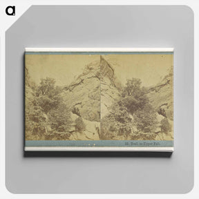 アートパネル-Trail to Upper Fall
 - エドワード マイブリッジ Canvas.