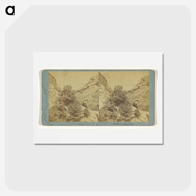 アートポストカード-Trail to Upper Fall
 - エドワード マイブリッジ Postcard.