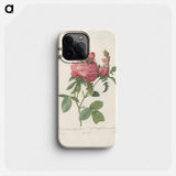 Rose illustration - ピエール ジョゼフ ルドゥーテ Phone Case.