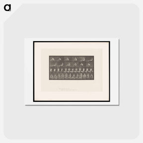 アートポストカード-Rowing Man
 - エドワード マイブリッジ Postcard.