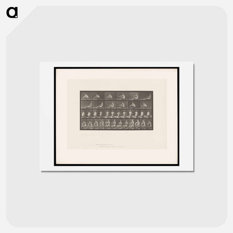 アートポストカード-Rowing Man
 - エドワード マイブリッジ Postcard.