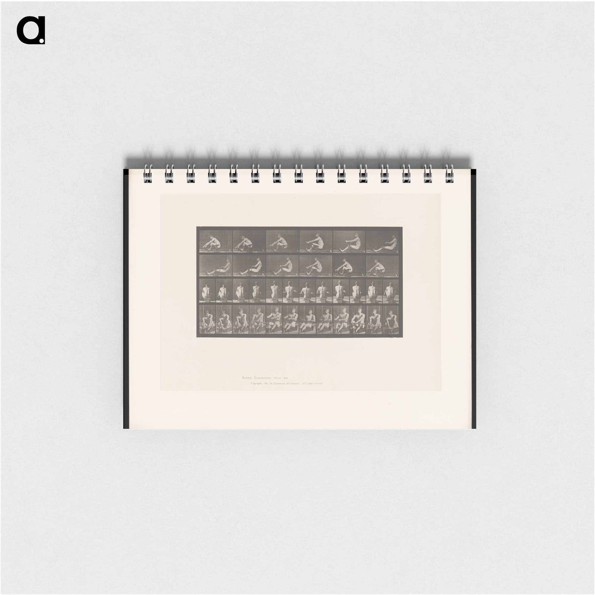アートメモ帳-Rowing Man
 - エドワード マイブリッジ Memo.