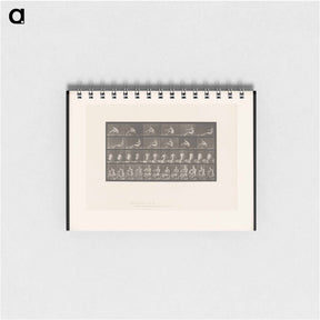 アートメモ帳-Rowing Man
 - エドワード マイブリッジ Memo.