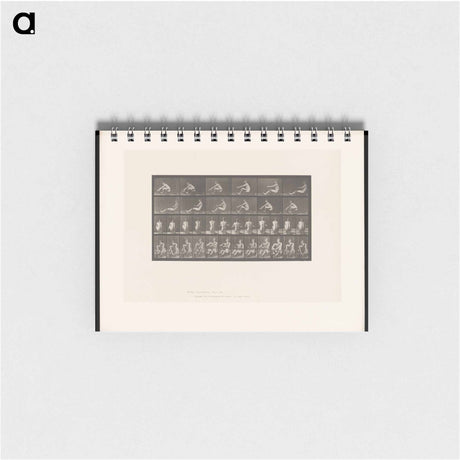 アートメモ帳-Rowing Man
 - エドワード マイブリッジ Memo.