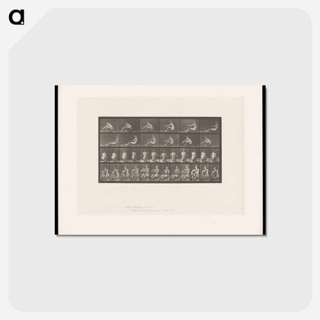アートポストカード-Rowing Man
 - エドワード マイブリッジ Postcard.