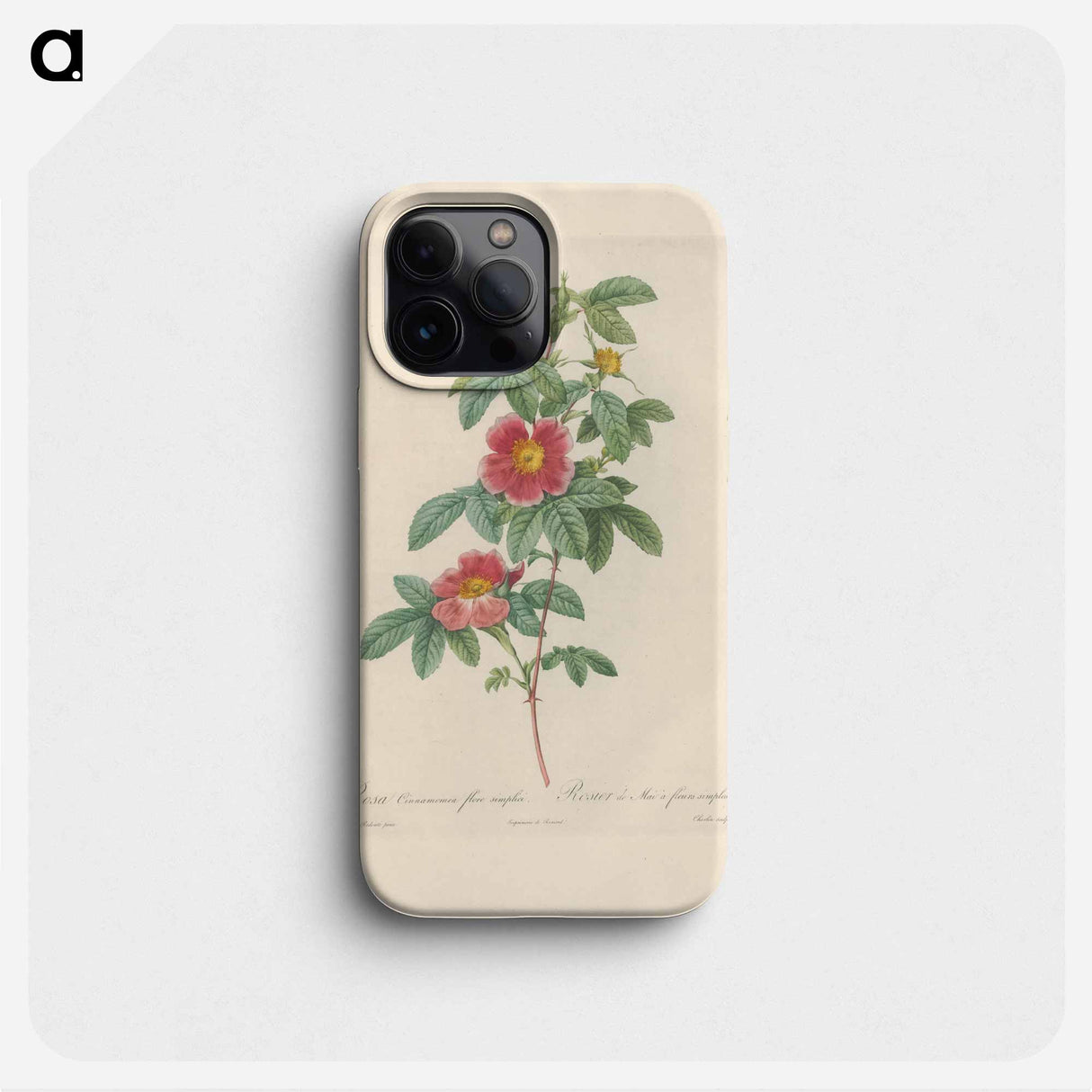 Rose illustration - Pierre Joseph Redouté Phone Case.
