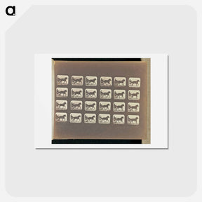 アートポストカード-Racking (Pacing)
 - エドワード マイブリッジ Postcard.