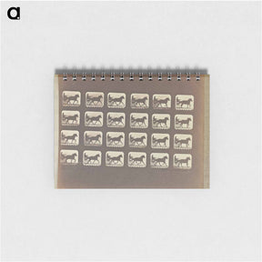 アートメモ帳-Racking (Pacing)
 - エドワード マイブリッジ Memo.