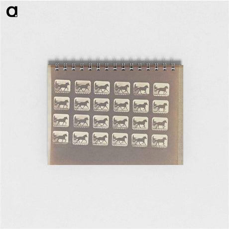 アートメモ帳-Racking (Pacing)
 - エドワード マイブリッジ Memo.