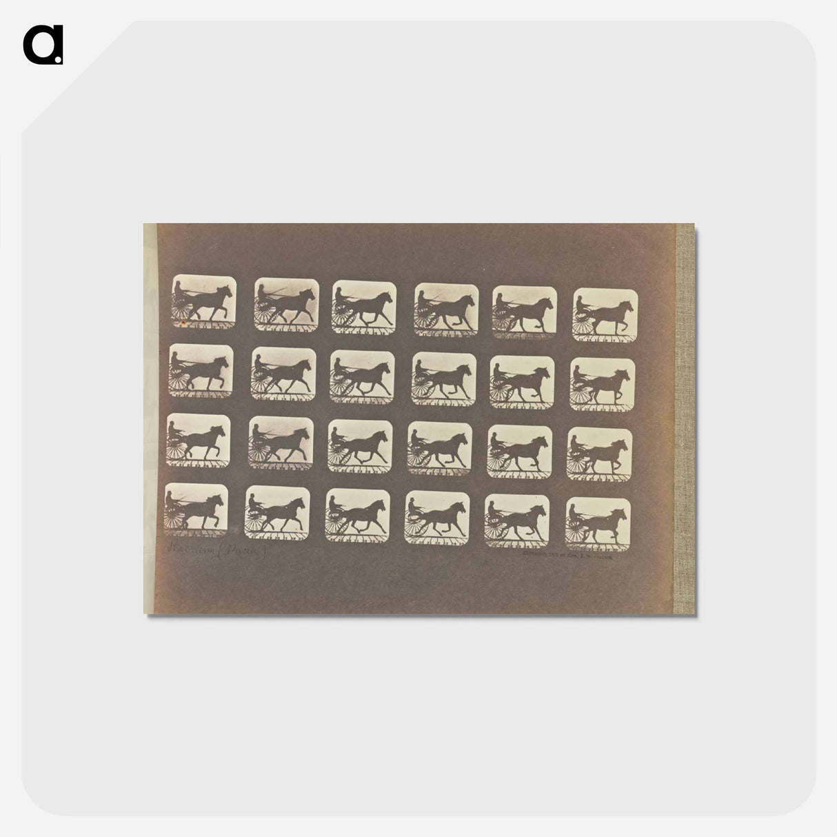 アートポストカード-Racking (Pacing)
 - エドワード マイブリッジ Postcard.