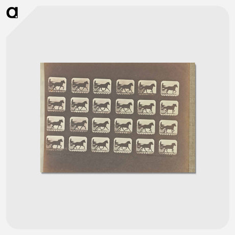 アートポストカード-Racking (Pacing)
 - エドワード マイブリッジ Postcard.