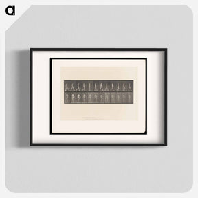 アートポスター-Locomotor Ataxia
 - エドワード マイブリッジ Poster.