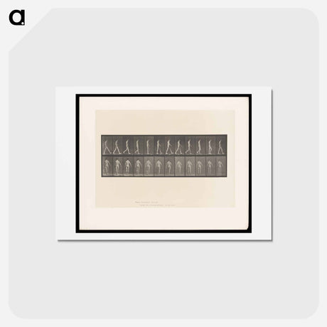 アートポストカード-Locomotor Ataxia
 - エドワード マイブリッジ Postcard.