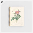 アートメモ帳-Rose illustration - ピエール ジョゼフ ルドゥーテ Memo.