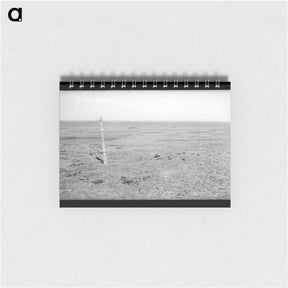 アートメモ帳-Stand of vega grass eaten off close - ドロテア ラング Memo.