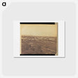 アートポストカード-View of Palo Alto
 - エドワード マイブリッジ Postcard.