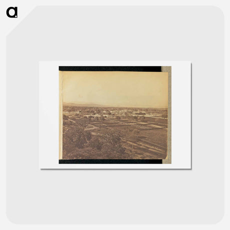アートポストカード-View of Palo Alto
 - エドワード マイブリッジ Postcard.