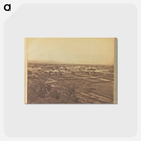 アートポストカード-View of Palo Alto
 - エドワード マイブリッジ Postcard.