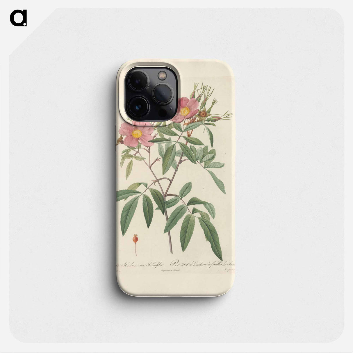 Rose illustration - ピエール ジョゼフ ルドゥーテ Phone Case.