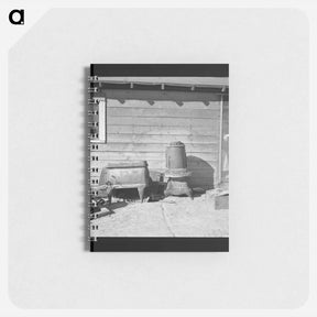 アートメモ帳-Untitled photo - ドロテア ラング Memo.