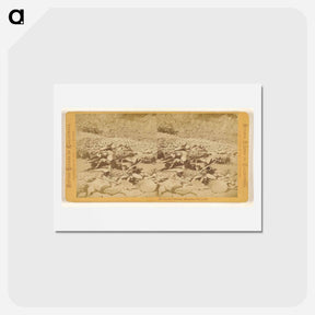 アートポストカード-Celestial Diggings
 - エドワード マイブリッジ Postcard.