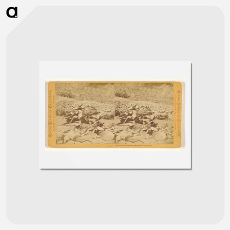 アートポストカード-Celestial Diggings
 - エドワード マイブリッジ Postcard.