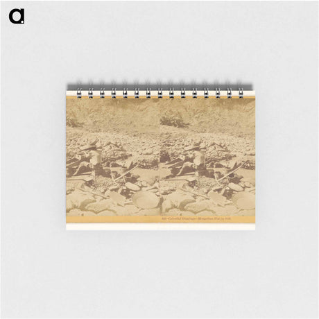 アートメモ帳-Celestial Diggings
 - エドワード マイブリッジ Memo.