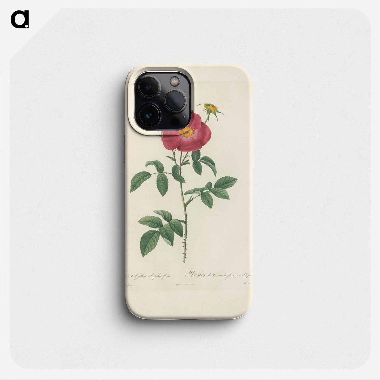 Rose illustration - Pierre Joseph Redouté Phone Case.