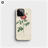 Rose illustration - ピエール ジョゼフ ルドゥーテ Phone Case.