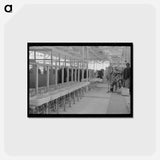 アートポストカード-Factory Washstands
 - ラッセル リー Postcard.
