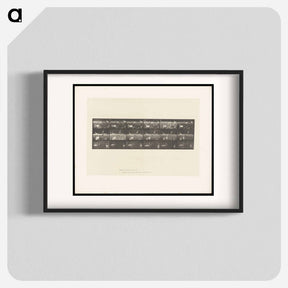 アートポスター-Swans and Storks
 - エドワード マイブリッジ Poster.
