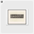 アートポストカード-Swans and Storks
 - エドワード マイブリッジ Postcard.