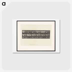 アートポストカード-Swans and Storks
 - エドワード マイブリッジ Postcard.