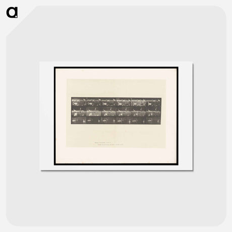 アートポストカード-Swans and Storks
 - エドワード マイブリッジ Postcard.