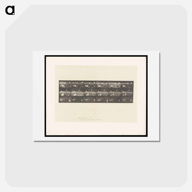 アートポストカード-Swans and Storks
 - エドワード マイブリッジ Postcard.