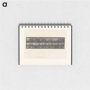 アートメモ帳-Swans and Storks
 - エドワード マイブリッジ Memo.