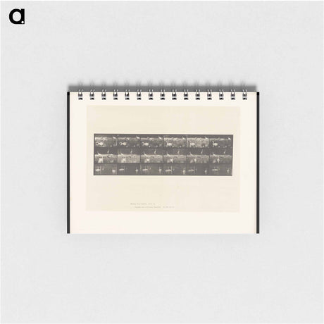 アートメモ帳-Swans and Storks
 - エドワード マイブリッジ Memo.